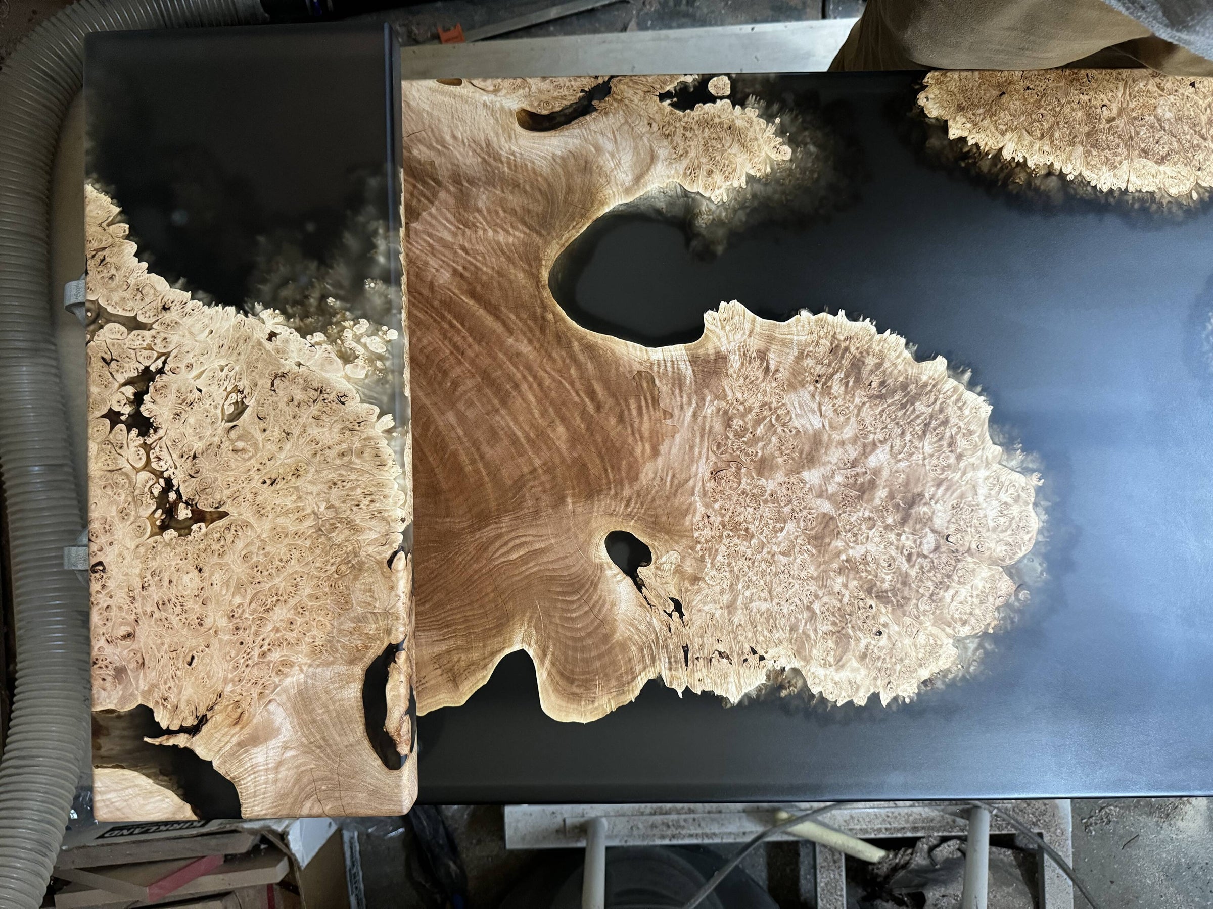 Birdseye Maple Burl in deep set epoxy